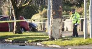 Are driving bans for children under 16 driving up insurance premiums?