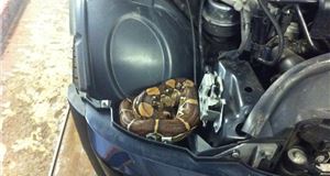 Oxford garage deals with a slippery customer