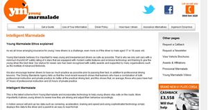 Young Marmalade launches new ‘Intelligent’ system