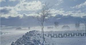 IAM offers drivers severe weather tips