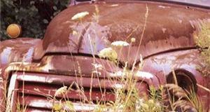 Motor show research shows first car love