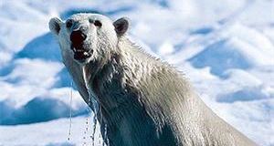 Motorists 'not aware of environmental issues'