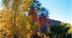 Right price 'will see drivers go green'