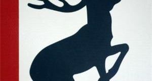 UK drivers 'fail to identify road signs'