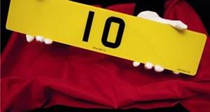 Plates 'may set pulses racing'