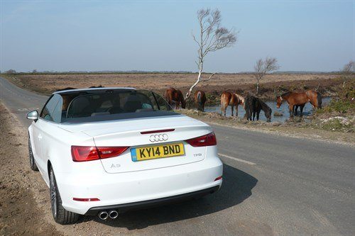 Audi A3 Cabrio 2014 R34 Horses