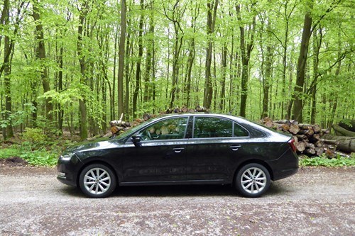 Skoda Rapid 2017 Side Woods