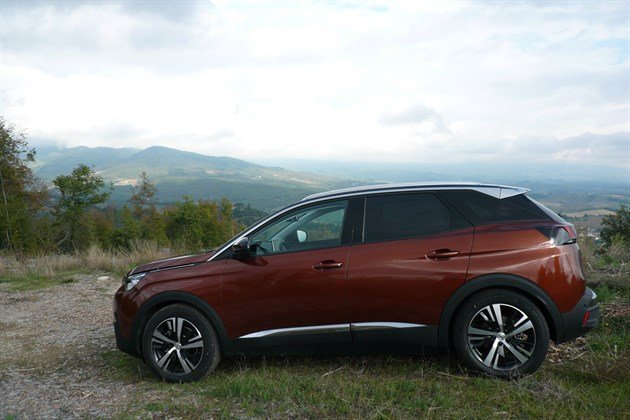 Peugeot 3008 Bronze Side Mountains
