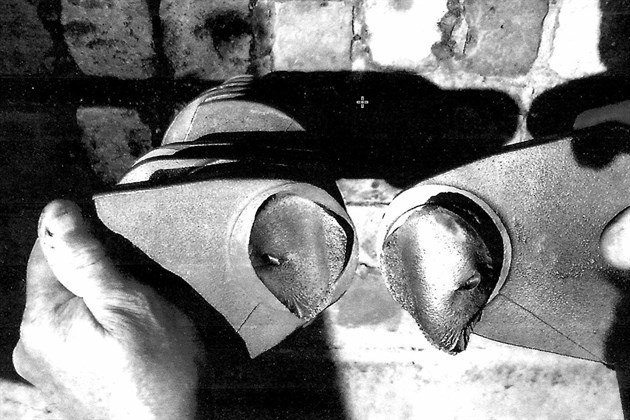 Land Rover Defender 2001 Failed Crankshaft