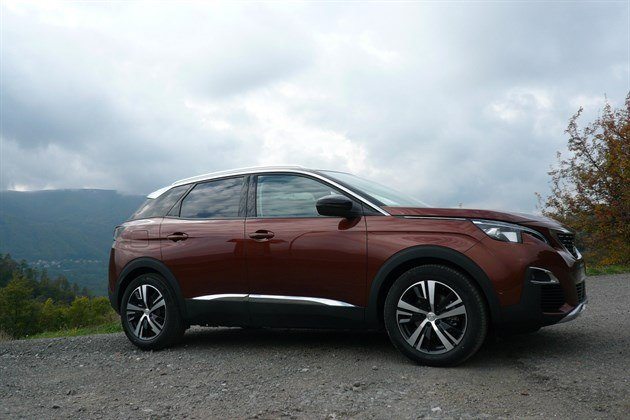 Peugeot 3008 Bronze Front Side Mountains