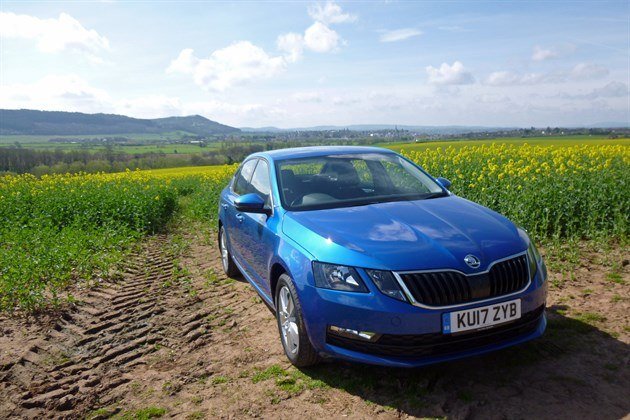 Skoda Octavia 2017 F34 Rape Seed 1