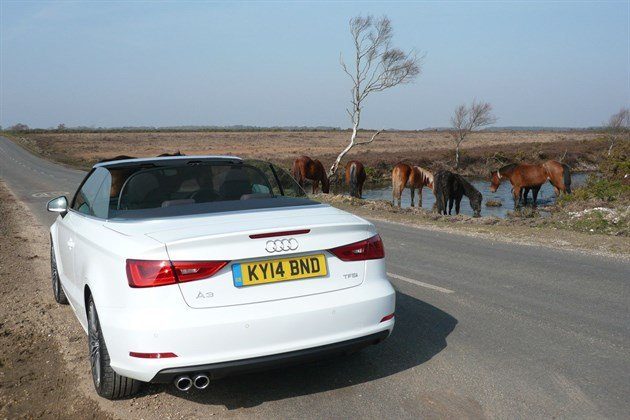 Audi A3 Cabrio 2014 R34 Horses