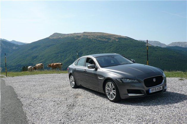 Jaguar XF 2015 Grey F34 Cows