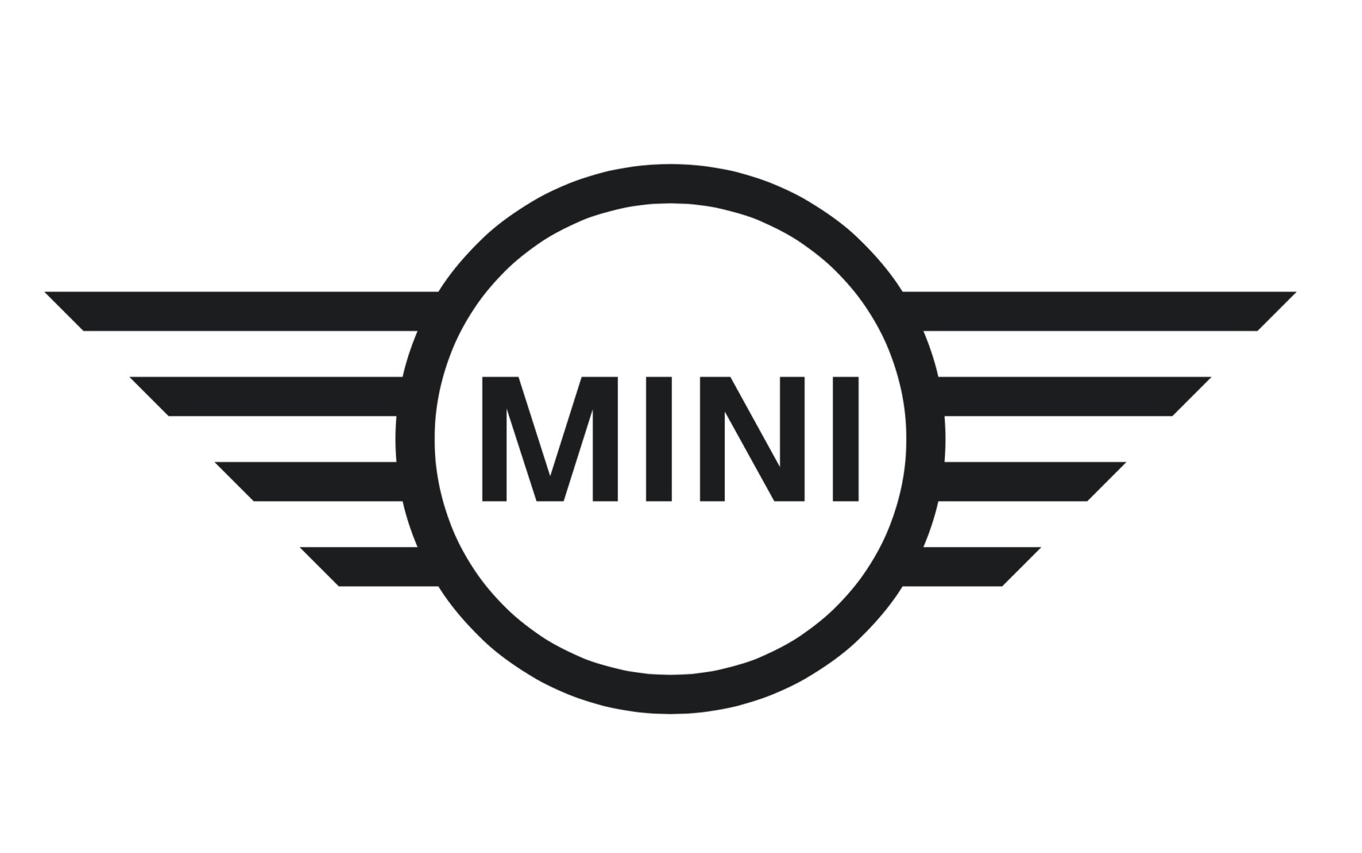 MINI (1)