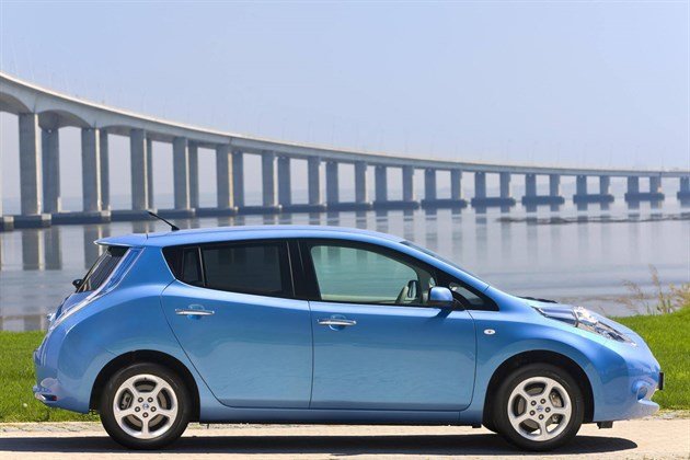 Nis Leaf Prod Side 700