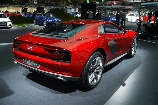 Audi _nanuk _quattro1