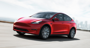 Model Y (2021 on)